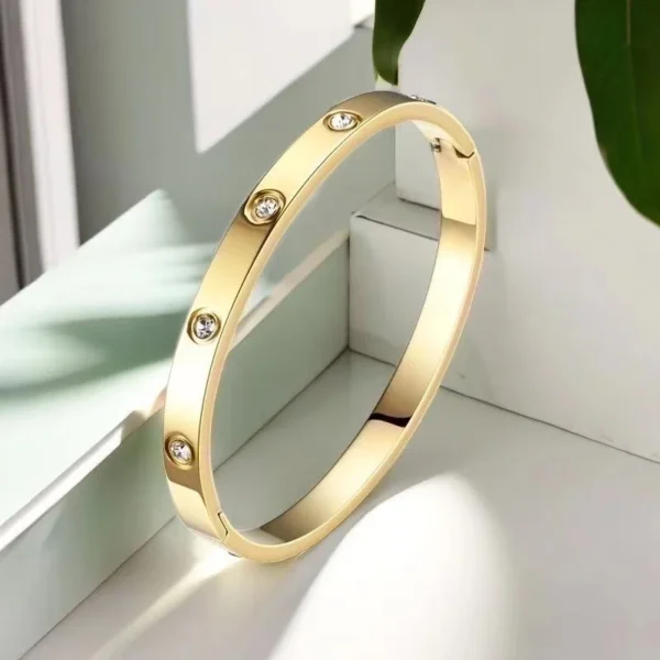 Brazalete con incrustraciones de circón - 6MM - 18K